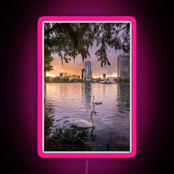 Swans At Lake Eola RGB Neon Sign