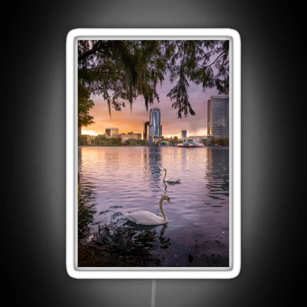 Swans At Lake Eola RGB Neon Sign