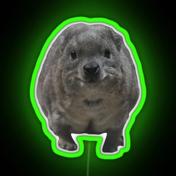 Sweet Rock Hyrax RGB Neon Sign