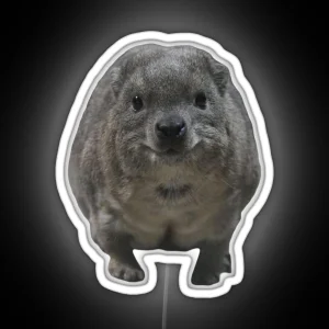 Sweet Rock Hyrax RGB Neon Sign