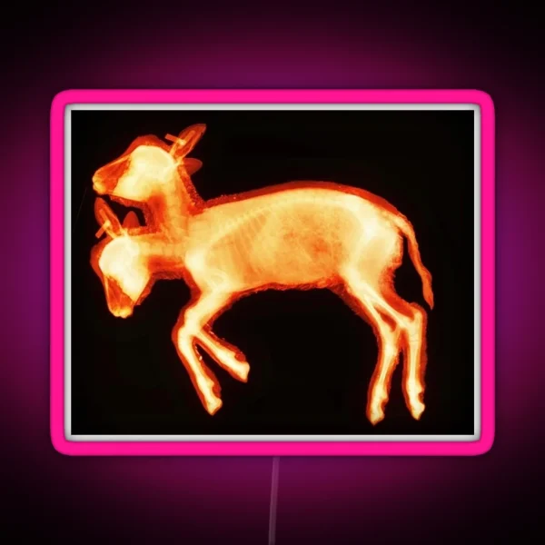 Taffyandtart RGB Neon Sign