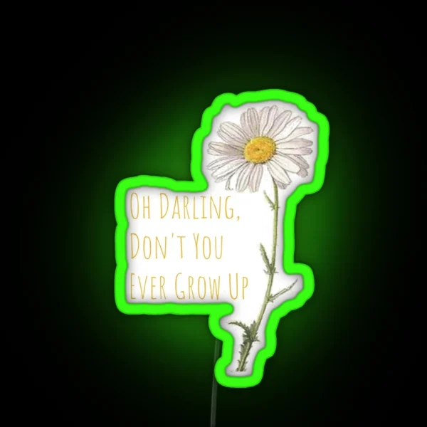 Taylor Swift RGB Neon Sign