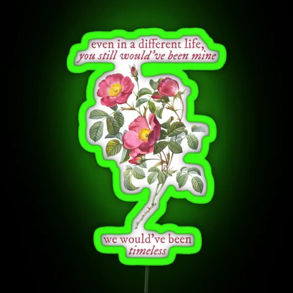 Taylor Swift Timeless You Still Would Ve Been Mine RGB Neon Sign