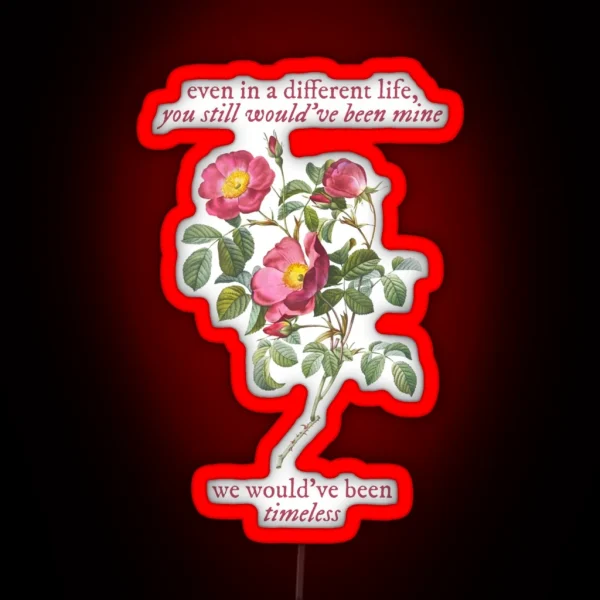 Taylor Swift Timeless You Still Would Ve Been Mine RGB Neon Sign
