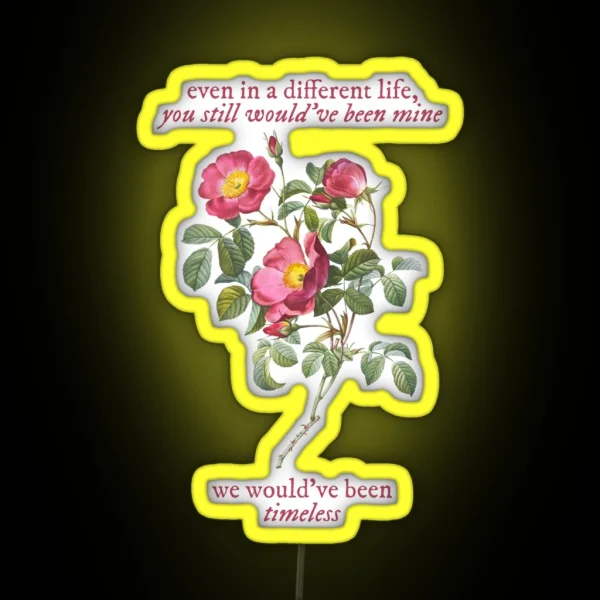 Taylor Swift Timeless You Still Would Ve Been Mine RGB Neon Sign