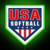 RGB neon team logo decoration for passionate softball enthusiasts everywhere