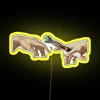 Create Customizable Dynamic Led Neon Signs with Color Changing Technology Inside