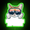 Whimsical cat lover's snowy mountain themed RGB neon wall decor