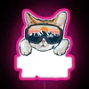 Whimsical Cat Lover's Winter Wonderland RGB LED Art Sign Decoration