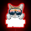 Cute cat-themed neon sign for feline-loving winter sports enthusiasts
