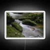 Calming Nature Scene RGB Neon Sign with Moss and Water