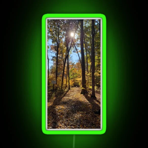 The Path Of Light Taken RGB Neon Sign