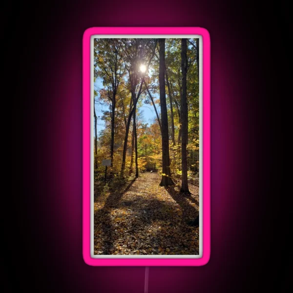 The Path Of Light Taken RGB Neon Sign
