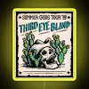 Third Eye Blind Summer Gods Tour 2019 Official Neon Sign Display