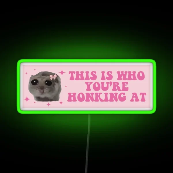 This Is Who You Are Honking At Sad Hamster Bumper RGB Neon Sign