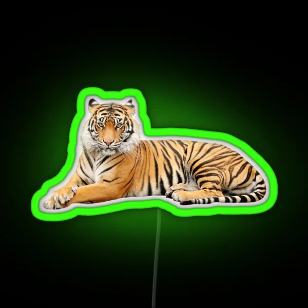 Tiger RGB Neon Sign