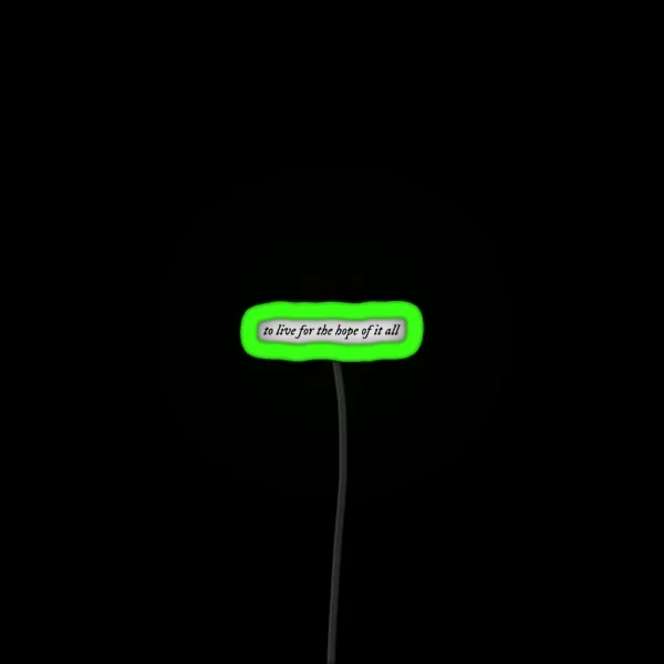 To Live For The Hope Of It All Taylor Swift Folklore RGB Neon Sign