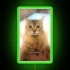 Vibrant RGB color changing tole tole vro cat neon decoration