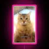RGB Color Changing LED Canvas Sign Artful Neon Display