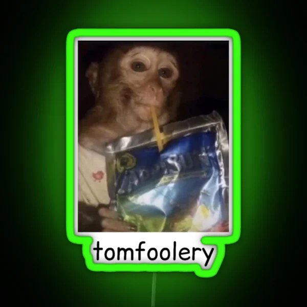 Tomfoolery Funny Monkey RGB Neon Sign