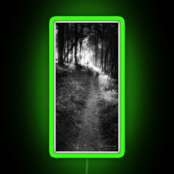 Trail Light RGB Neon Sign