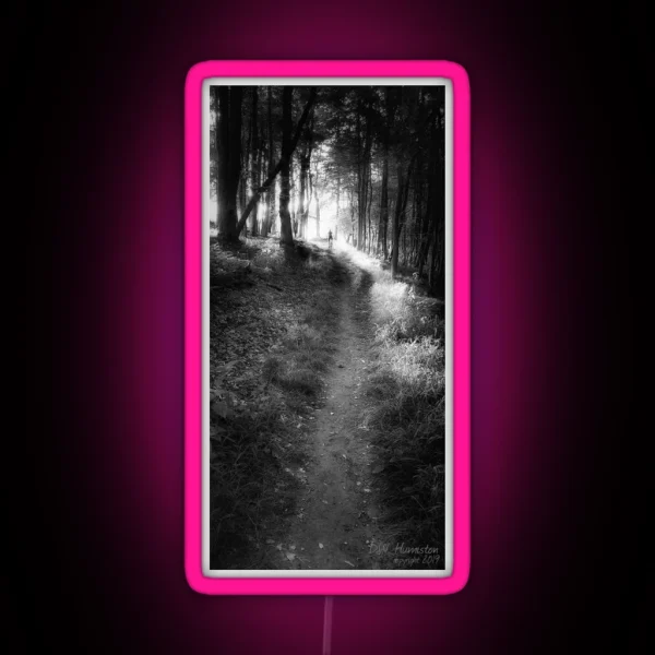 Trail Light RGB Neon Sign