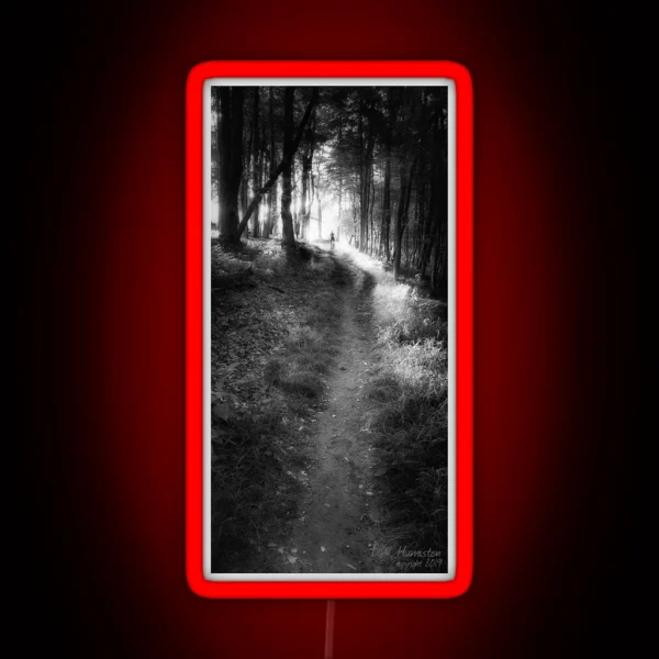 Trail Light RGB Neon Sign