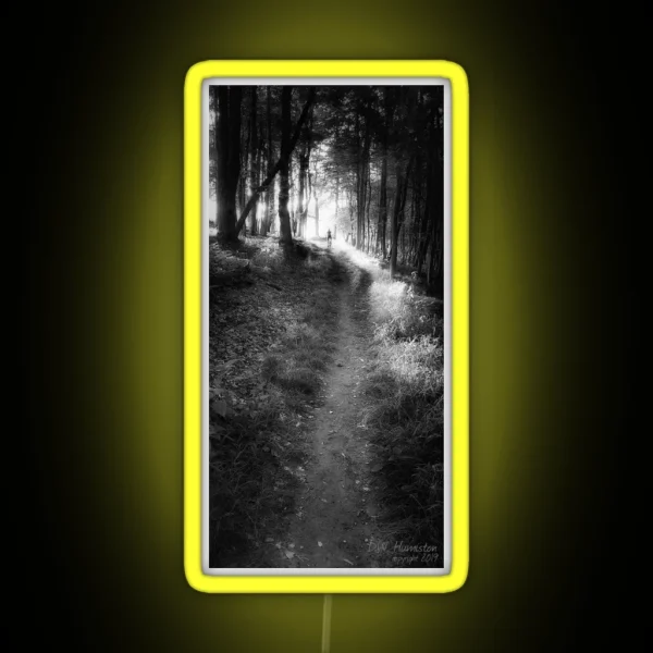 Trail Light RGB Neon Sign