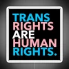 Neon Sign Proclaiming Universal Support for Human Rights and Equality