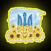 LED Ukraine national symbols display with colorful customizable graphics backlight.
