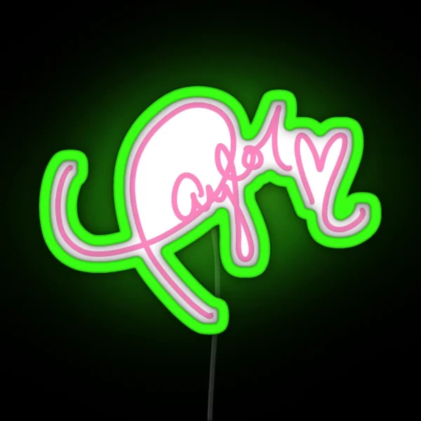 Ts Signature RGB Neon Sign