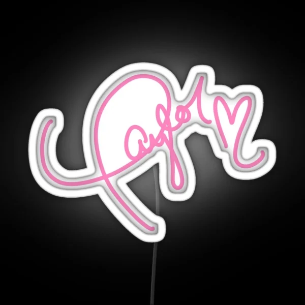 Ts Signature RGB Neon Sign