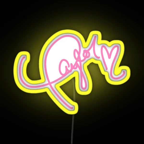 Ts Signature RGB Neon Sign