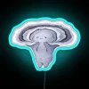 Vibrant glowing neon decoration featuring colorful turkey tail mushrooms design