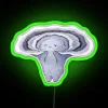 Unique Turkey Tail Mushroom Neon Light Decor for Ambient Spaces