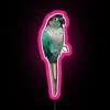 Personalized Turquoise and Green Parrot Themed RGB Neon Wall Sign