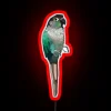 Vibrant colorful turquoise parrot art decor for home interior design fans.