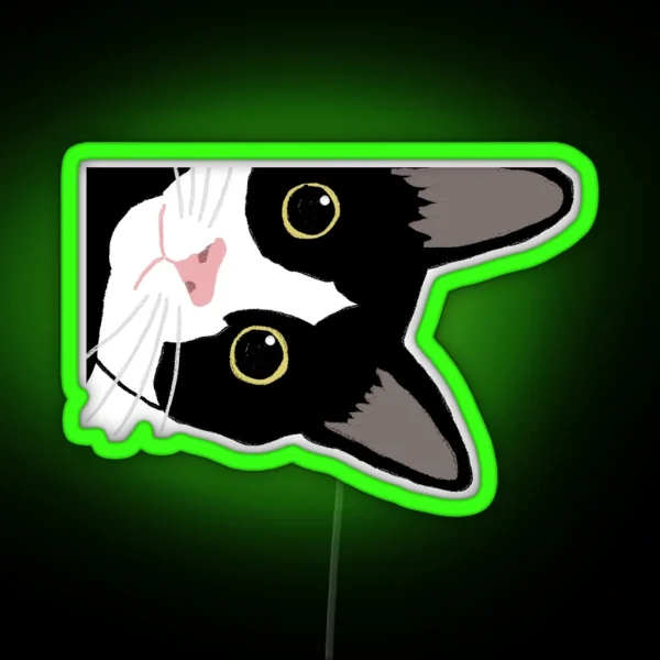 Tuxedo Cat In The Corner RGB Neon Sign
