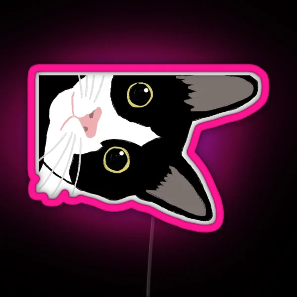 Tuxedo Cat In The Corner RGB Neon Sign
