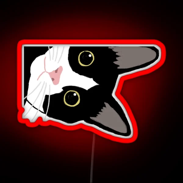 Tuxedo Cat In The Corner RGB Neon Sign