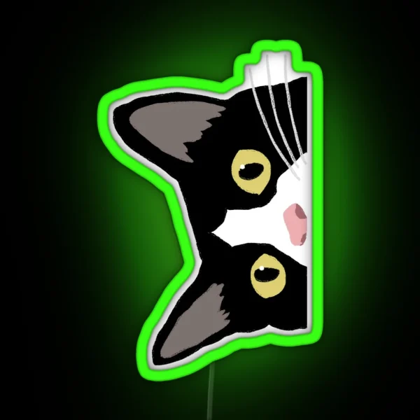 Tuxedo Cat Is Watching You RGB Neon Sign