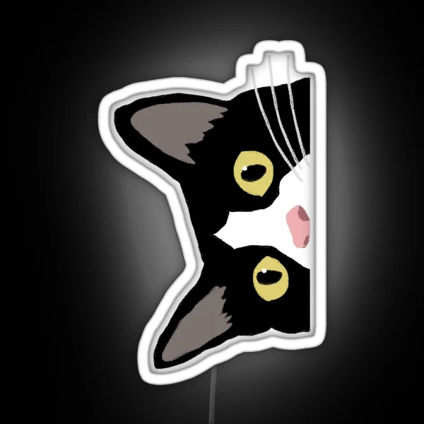 Tuxedo Cat Is Watching You RGB Neon Sign