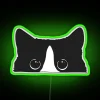 Vibrant Tuxedo Cat Inspired RGB Neon Wall Decoration Lighting Sign