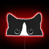 RGB Tuxedo Cat Neon Sign: Whimsical Feline Funk Art Decor