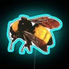 Tyler the Creator's iconic Flower Boy album neon light display