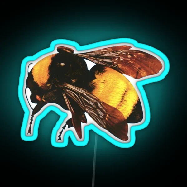 Tyler The Creator S Flower Boy RGB Neon Sign