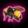 Tyler The Creator inspired vibrant Flower Boy themed RGB LED display
