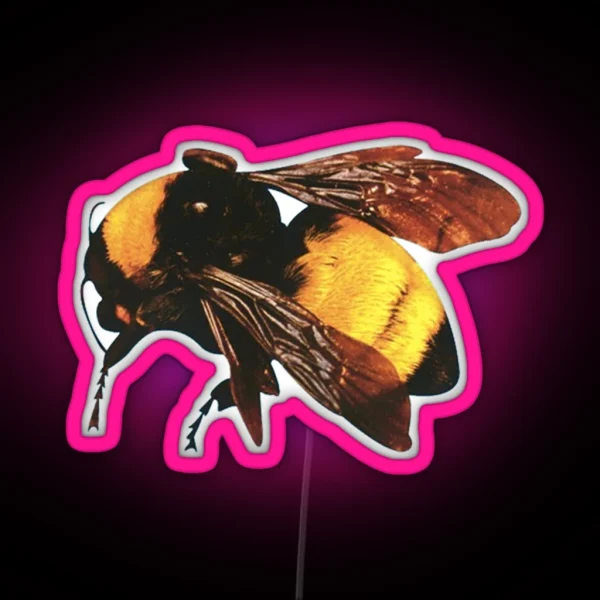 Tyler The Creator S Flower Boy RGB Neon Sign