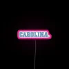 University of North Carolina Pride Shines Bright with Neon Colorful Sign