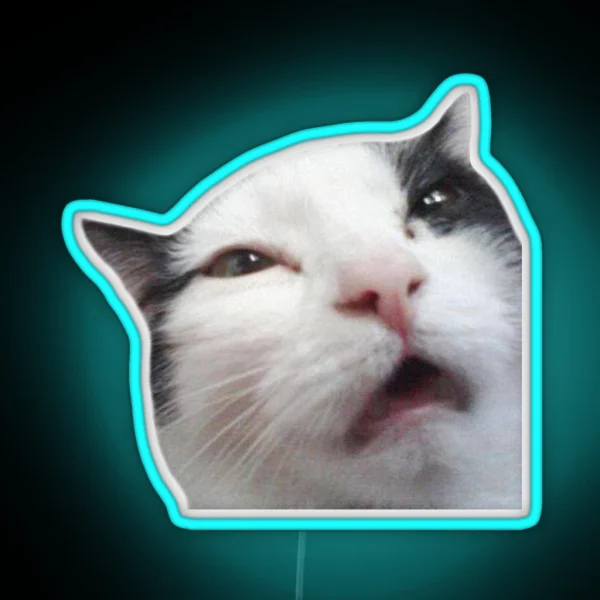 Uncomfortable Cat RGB Neon Sign